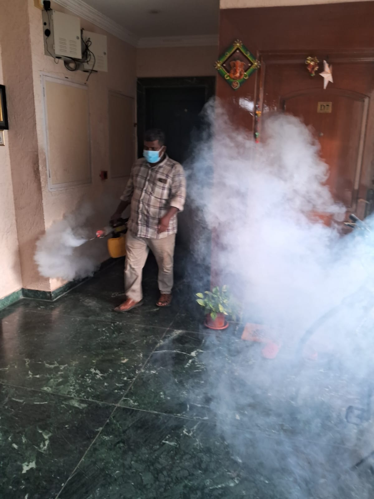 Bedbugs Control Work